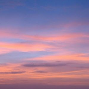 Meet your Posher, Whitney